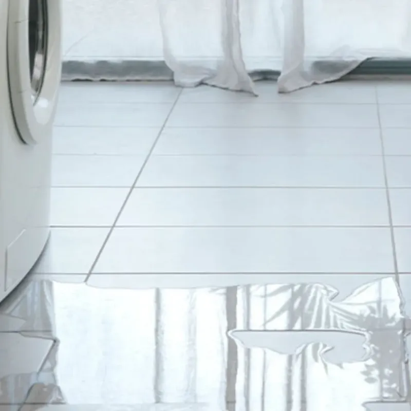 Appliance Leak Cleanup in Fox Lake, WI