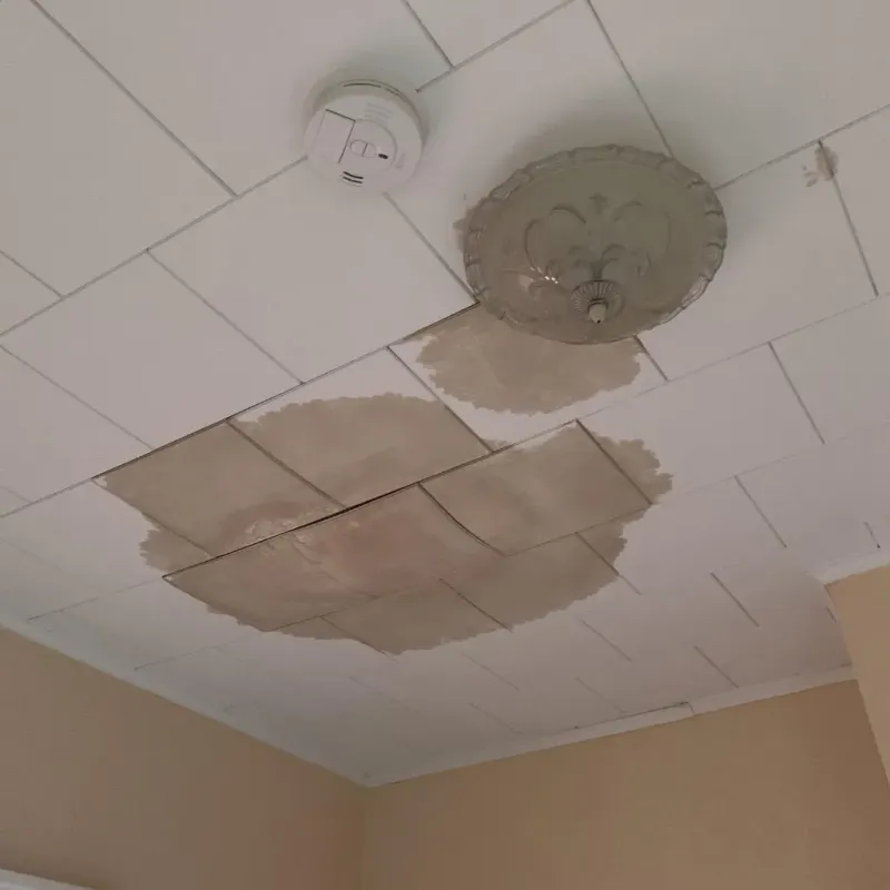 Ceiling Water Damage Repair in Fox Lake, WI