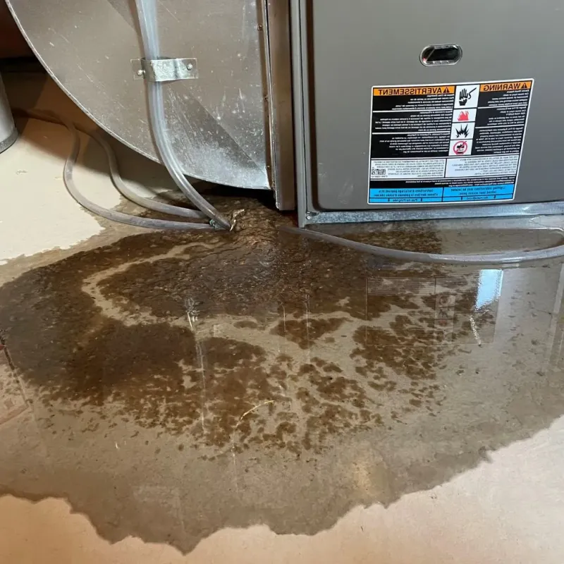 Pipe Burst and Leak Restoration in Fox Lake, WI