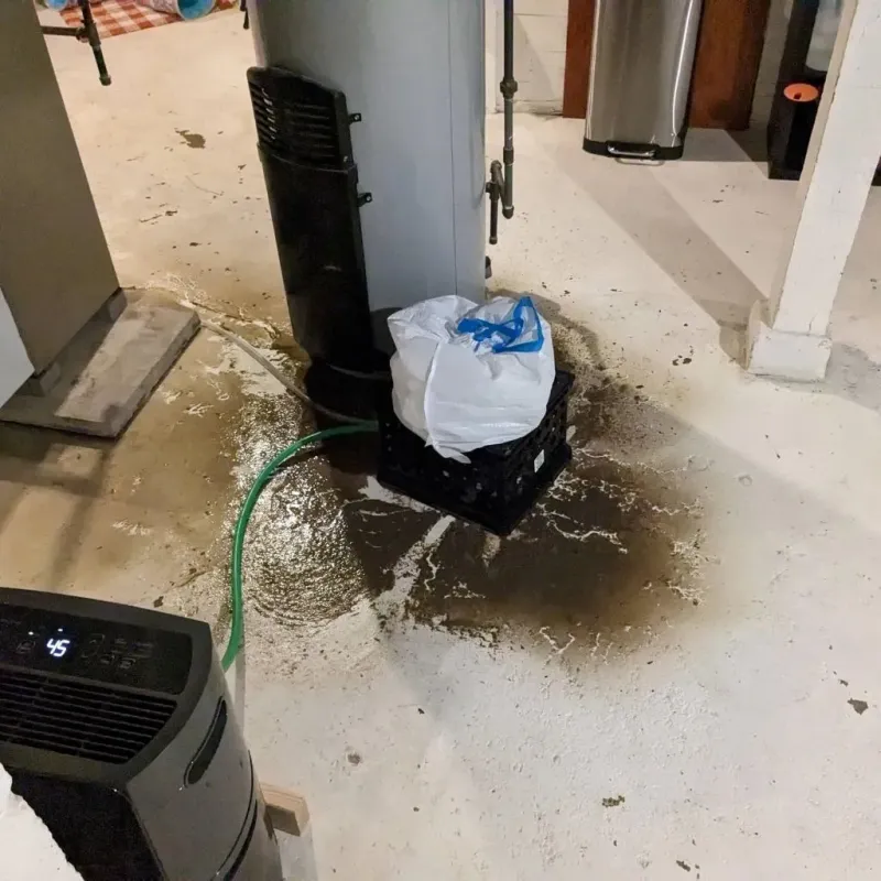 Sewage Backup Cleanup Service in Fox Lake, WI